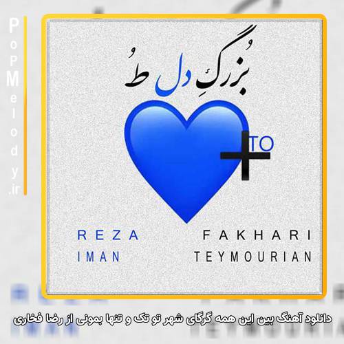دانلود آهنگ رضا فخاری بین این همه گرگای شهر تو تک و تنها بمونی